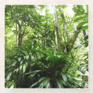 Posavasos De Vidrio Bosque lluvioso dominicano I Naturaleza tropical v