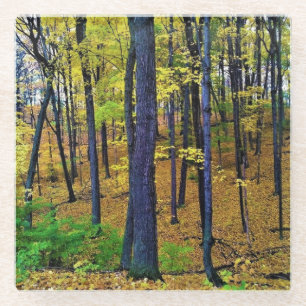Posavasos De Vidrio Bosque otoñal, West Bend, Wisconsin