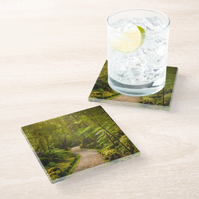 Posavasos De Vidrio Bosques | Camino al bosque (Angular)