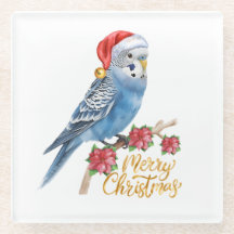 Budgie Christmas