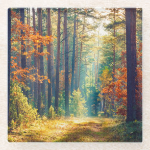 Posavasos De Vidrio Buenos Días En Un Bosque Colorido Con Rayos Solare