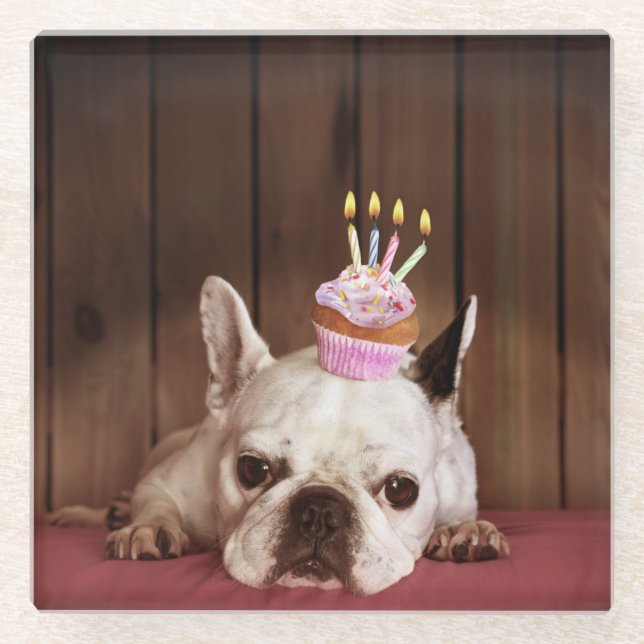 Posavasos De Vidrio Bulldog francés con la magdalena del cumpleaños (Anverso)