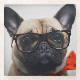Posavasos De Vidrio Bulldog francés con los vidrios y la pajarita
