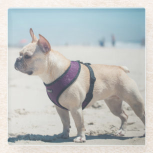 Posavasos De Vidrio Bulldog francés en la playa