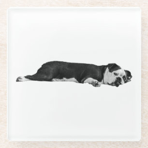 Posavasos De Vidrio Bulldog perezoso, mesa de Neat
