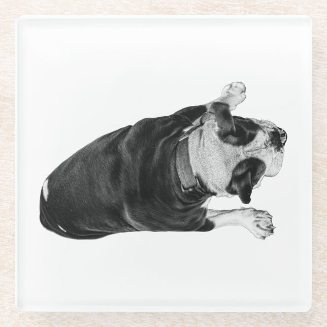 Posavasos De Vidrio Bulldog with Cheerful Expression (Anverso)