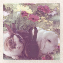 Posavasos De Vidrio Bunnies en un jardín