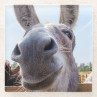 Burro gris sonriente cómico