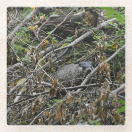 Posavasos De Vidrio Busy Beaver