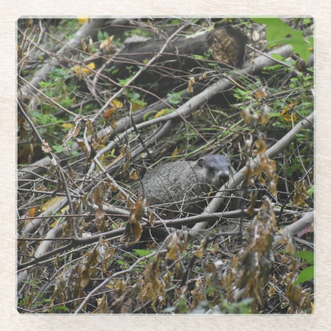 Posavasos De Vidrio Busy Beaver (Anverso)