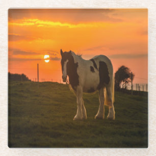 Posavasos De Vidrio Caballo del atardecer