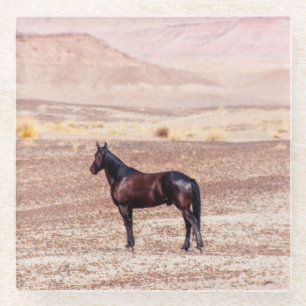 Posavasos De Vidrio Caballo desierto P8664