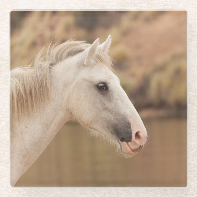Posavasos De Vidrio Caballo salvaje blanco (Anverso)