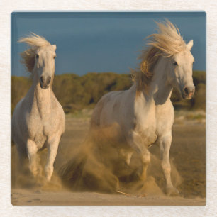 Posavasos De Vidrio Caballos blancos que corren en la playa el  