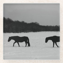 Posavasos De Vidrio Caballos con coastercnm de nieve