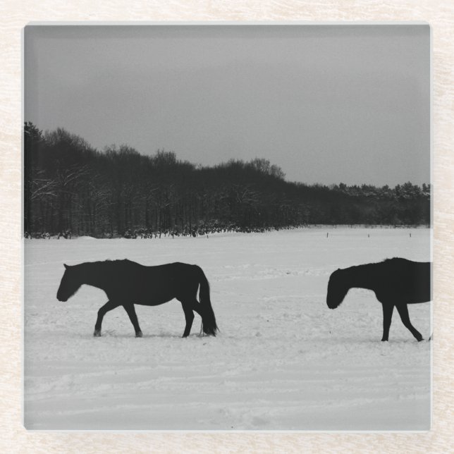 Posavasos De Vidrio Caballos con coastercnm de nieve (Anverso)
