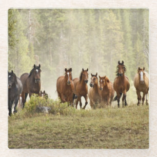 Posavasos De Vidrio Caballos cresting la pequeña colina durante rodeo