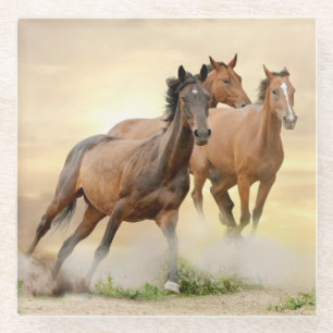 Posavasos De Vidrio Caballos en puesta del sol