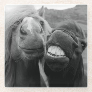 Posavasos De Vidrio Caballos sonrientes de las imágenes el de Getty