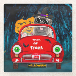 Posavasos De Vidrio Cairn Terrier Car Sasuy Halloween
