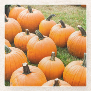 Posavasos De Vidrio Calabazas para la venta en el mercado de un