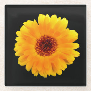 Posavasos De Vidrio Calendula Officinalis