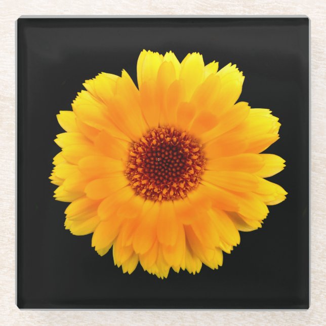 Posavasos De Vidrio Calendula Officinalis (Anverso)