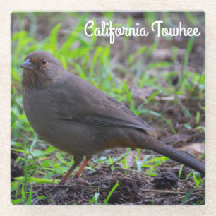 Posavasos De Vidrio California Towhee