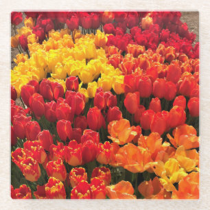 Posavasos De Vidrio Cama Sunset Tulip Garden, Oregón