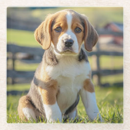 Posavasos De Vidrio Cámaras de vidrio de Beagle Cute
