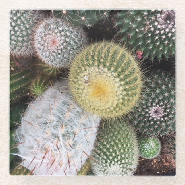 Posavasos De Vidrio Cámaras de vidrio de Cacti (Anverso)