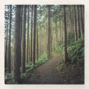 Posavasos De Vidrio Caminando en las montañas el Wakayama, Japón