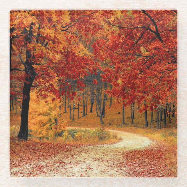 Posavasos De Vidrio Camino a través de los árboles en otoño (Anverso)