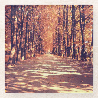 Posavasos De Vidrio Camino Forestal de Otoño: Tranquilo viaje paisajís