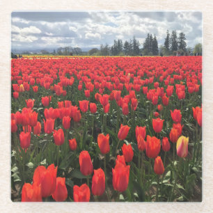 Posavasos De Vidrio Campo de Ballerina Tulips, Oregón