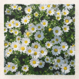 Posavasos De Vidrio Campo de marea de primavera: fondo sereno