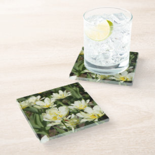 Posavasos De Vidrio Campo de tulipanes blancos Foto