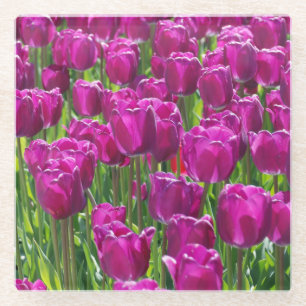 Posavasos De Vidrio Campo de tulipanes morados