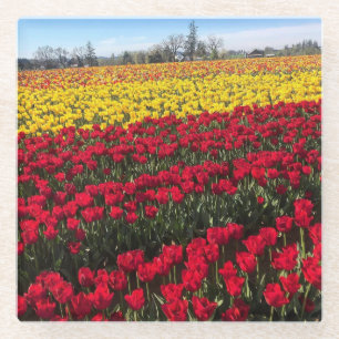 Posavasos De Vidrio Campo de tulipanes rojo y amarillo