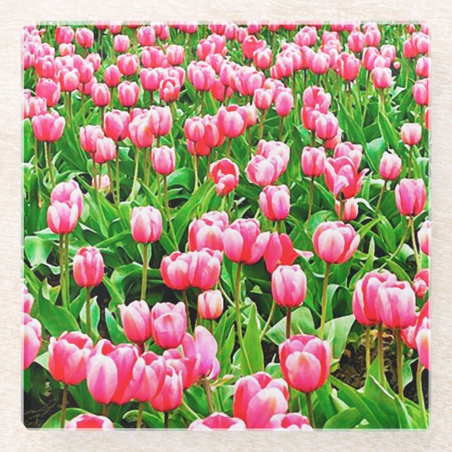 Posavasos De Vidrio Campo de tulipanes rosados (Anverso)