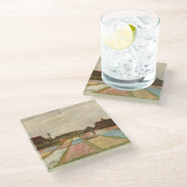 Posavasos De Vidrio Campos de bombilla | Vincent van Gogh (Angular)