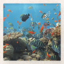 Posavasos De Vidrio Caos tropical de los pescados