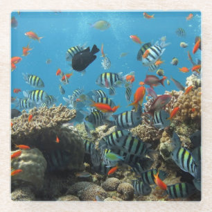 Posavasos De Vidrio Caos tropical de los pescados