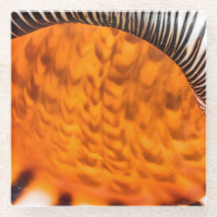 Posavasos De Vidrio Capa de agua de mar