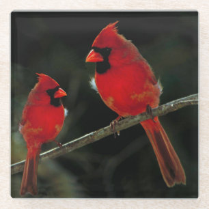 POSAVASOS DE VIDRIO CARDINALES