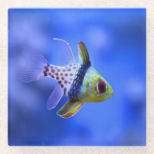 Posavasos De Vidrio Cardinalfish del pijama