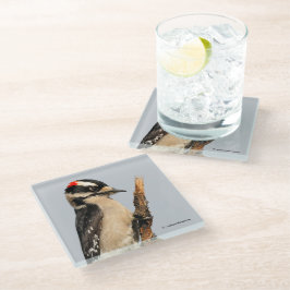 Posavasos De Vidrio Carpintero lechoso en árbol de frutas