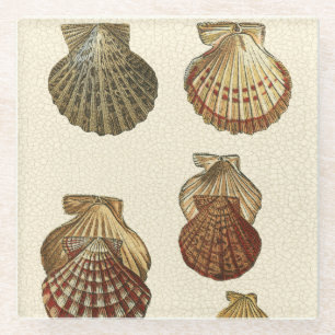 Posavasos De Vidrio Cáscaras antiguas Crackled