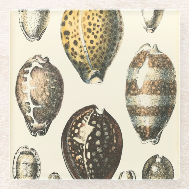 Posavasos De Vidrio Cascos de mar de forma única (Anverso)