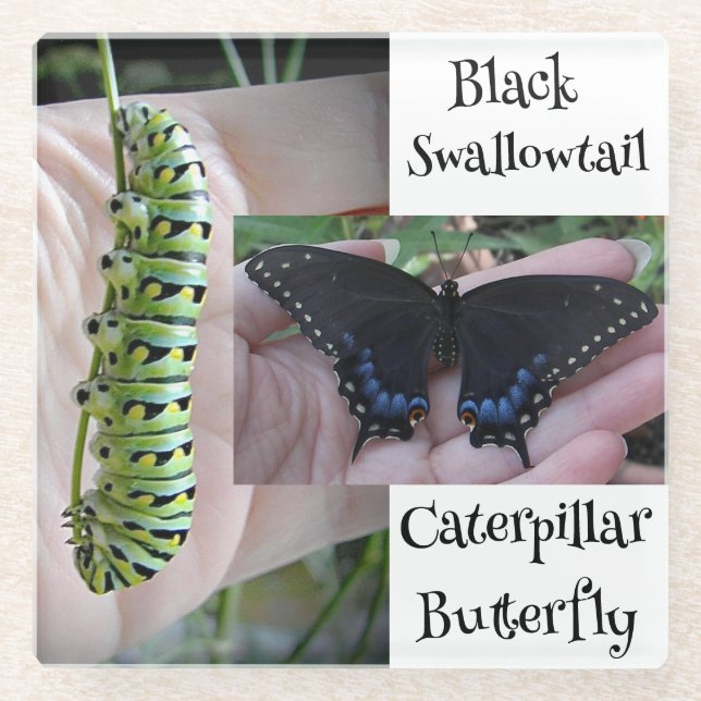 Posavasos De Vidrio Caterpillar/mariposa (Anverso)